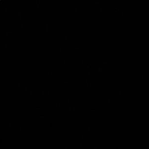 Meet your Posher, Brady